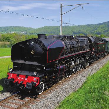 LESERFOTO - Mit Volldampf in den Frühling. Aufgenommen zwischen Laufenburg und Rheinsulz. Foto: Felix Klingele, Laufenburg