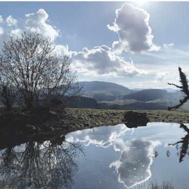 LESERFOTO - Wunderschönes Spiegelbild im Weiher, Kaisten. Foto: Margrit Freudemann, Kaisten