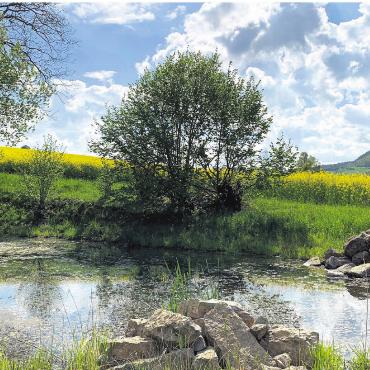 LESERFOTO - Natur pur in Kaisten. Foto: Margrit Freudemann, Kaisten