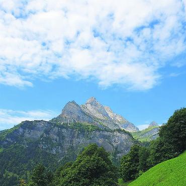 Sommer-Fotos - Wunderschöner Wanderweg von Braunwaldnach Nussbühl. Foto: Susi Hasler-Tanner, Möhlin