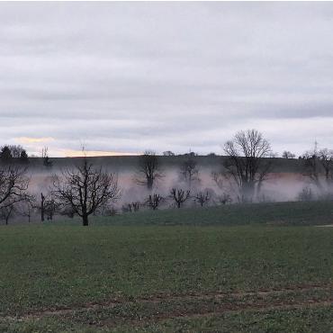 LESERFOTO - Wie der Nebel eine schöne Abendstimmung herbeizaubern kann. Gesehen vom Eikerberg. Foto: Fritz Gisin, Münchwilen