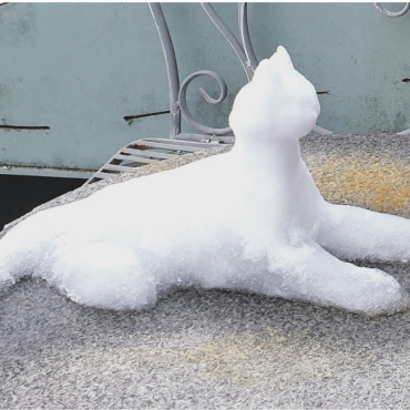 Leserfoto - Was man bei einem Sonntagsspaziergang doch alles entdeckt: zum Beispiel diese süsse Katze. Foto: Tanja Langnickel, Frick