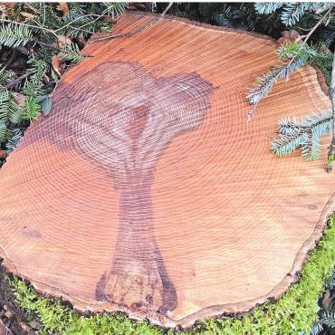 LESERFOTO - Ein Baum im Baum. Leserfoto: Georg Kalt, Laufenburg