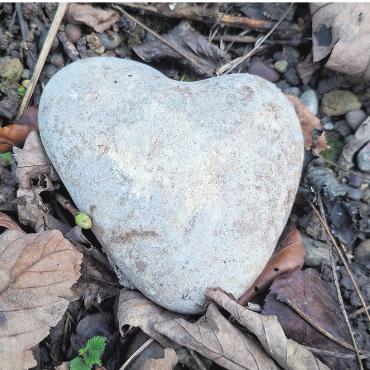 LESERFOTO - Stein in Herzform: entdeckt am Rheinuferweg unterhalb Laufenburg. Foto: Georg Kalt, Laufenburg