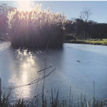 LESERFOTO - Nach einer eisig kalten Nacht ist der Mühliweiher in Kaisten zugefroren. Foto: Margrit Freudemann, Kaisten