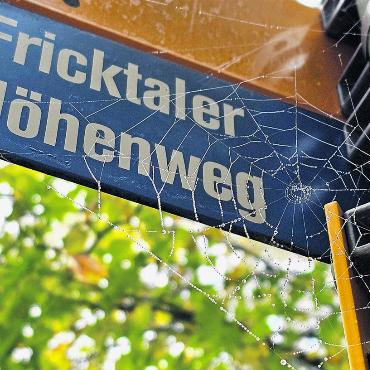 Herbstlich von der Natur dekorierter Wegweiser. - Foto: Gabriela Stocker, Obermumpf