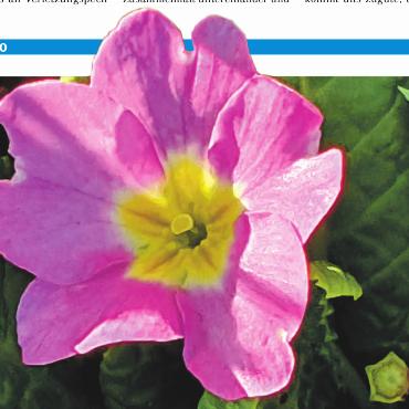 LESERFOTO - Unterwegs in Möhlin: Immer wieder schön. Foto: Susanne Hasler, Möhlin