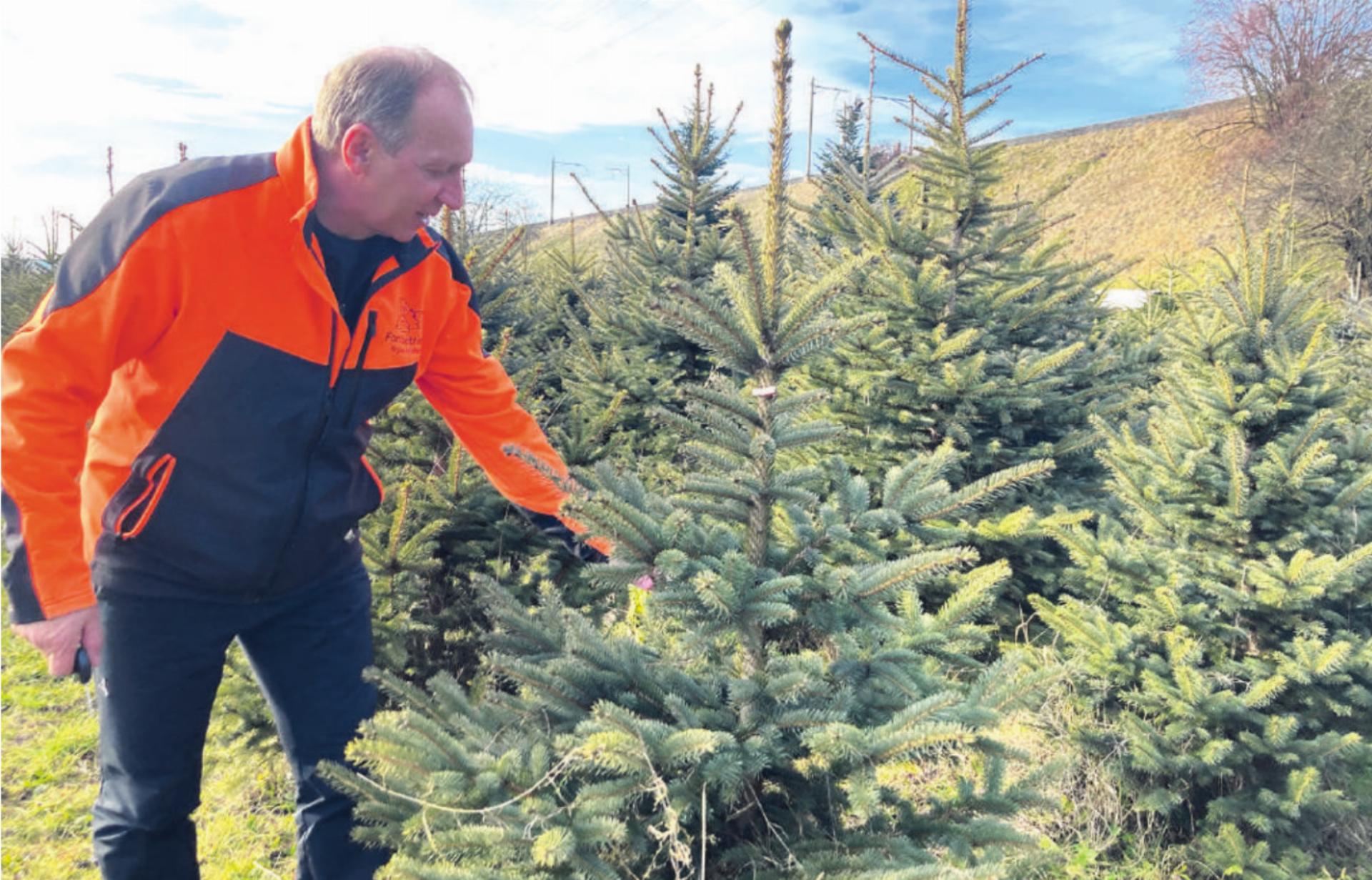 Neue Bäume braucht das Land - Das Bild wird blockiert. – Möglicherweise durch einen aktiven Adblocker.