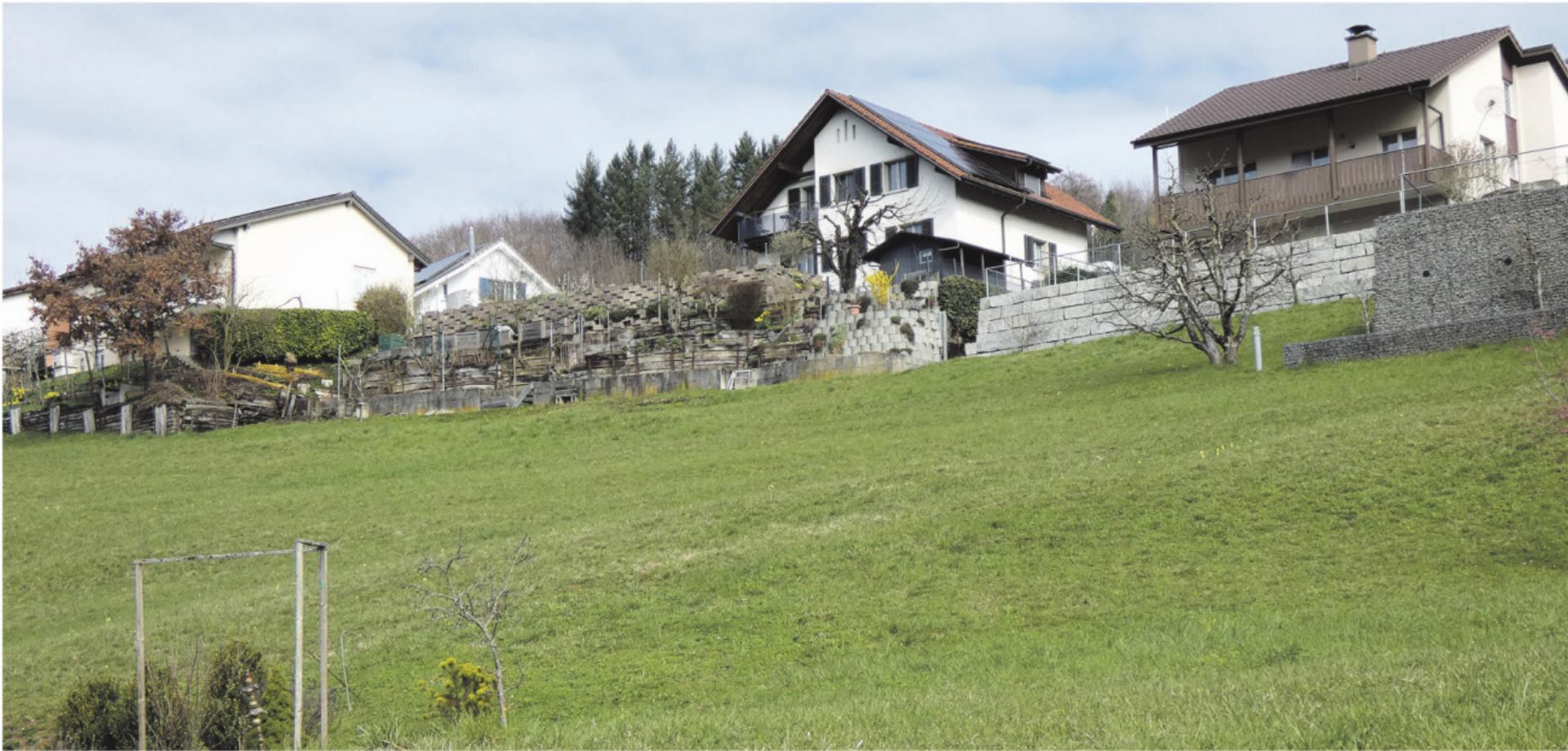 Kanton will Sulzer Bauland zu Ackerland umzonen - Das Bild wird blockiert. – Möglicherweise durch einen aktiven Adblocker.