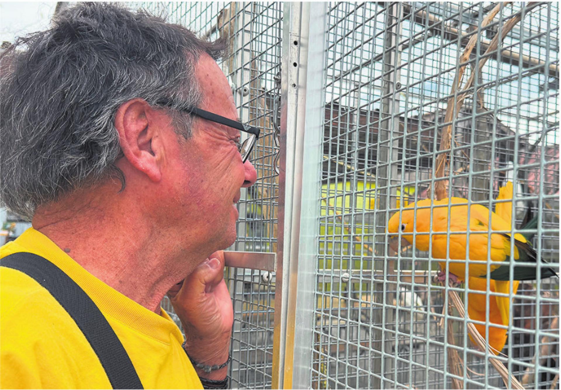 Er dreht weiter am Park-Rad - Das Bild wird blockiert. – Möglicherweise durch einen aktiven Adblocker.