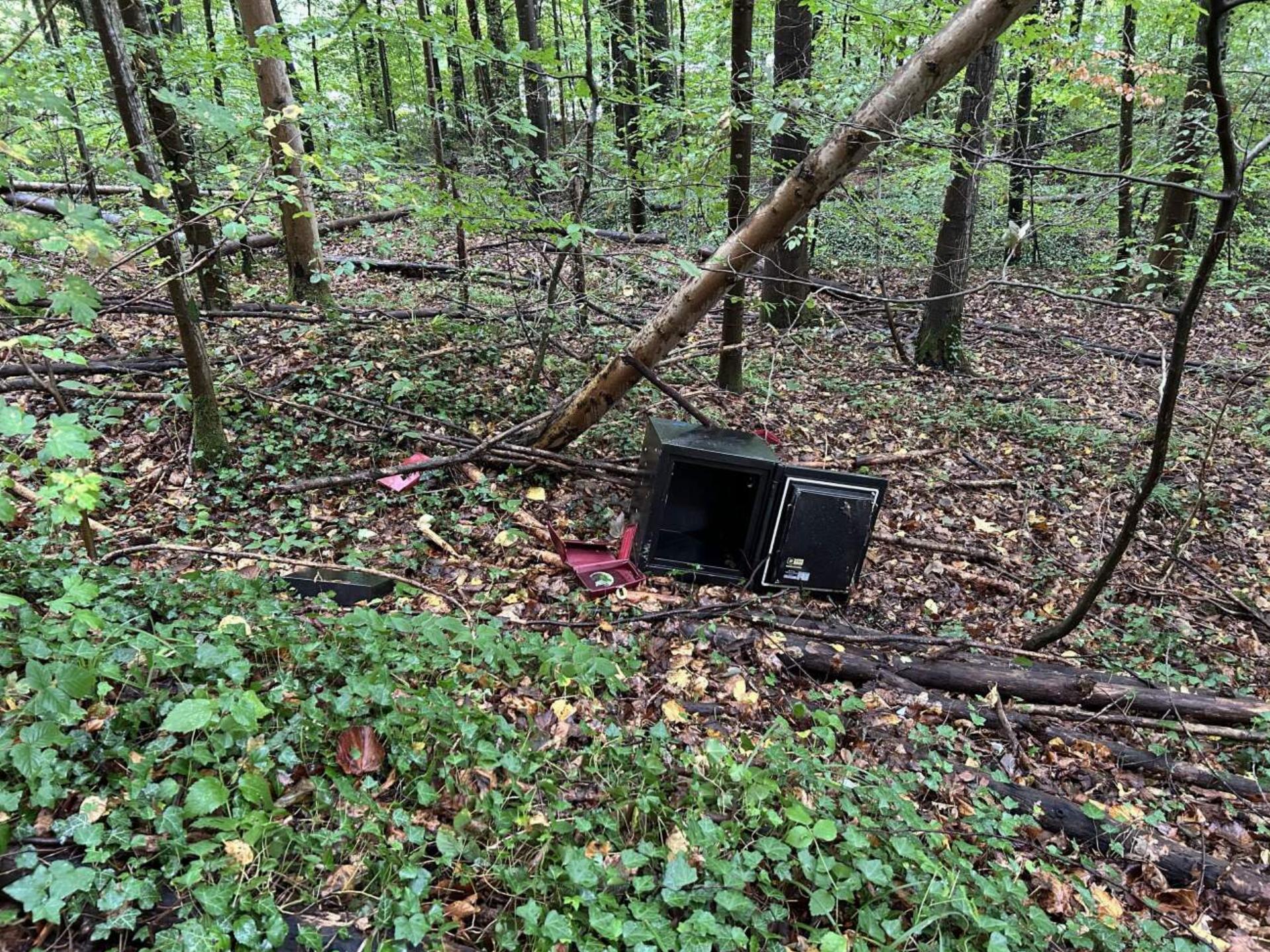 Tresor im Rheinfelder Wald gefunden - Das Bild wird blockiert. – Möglicherweise durch einen aktiven Adblocker.