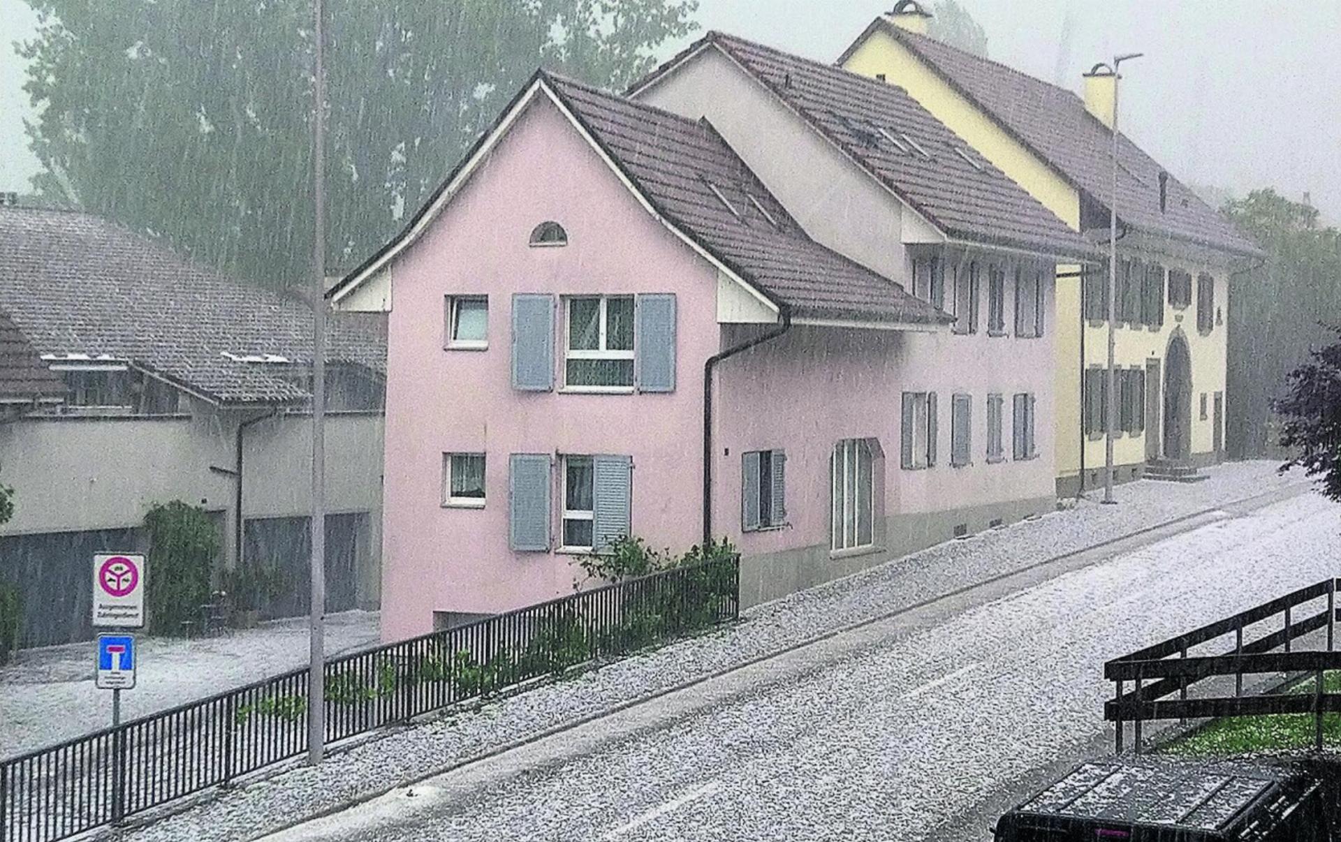 LESERFOTO