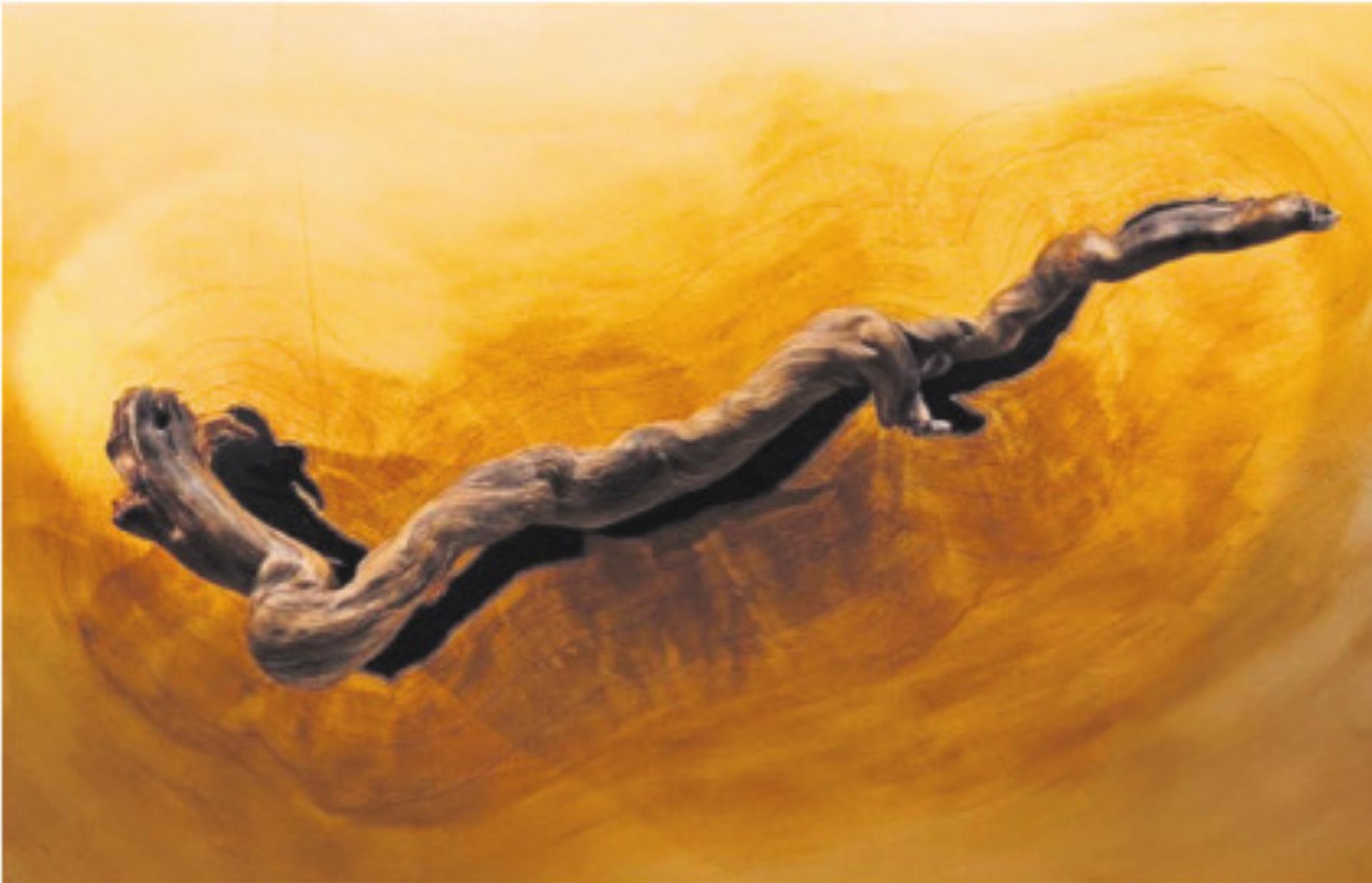 Zwei Künstler zeigen «Holz + Farben» - Das Bild wird blockiert. – Möglicherweise durch einen aktiven Adblocker.