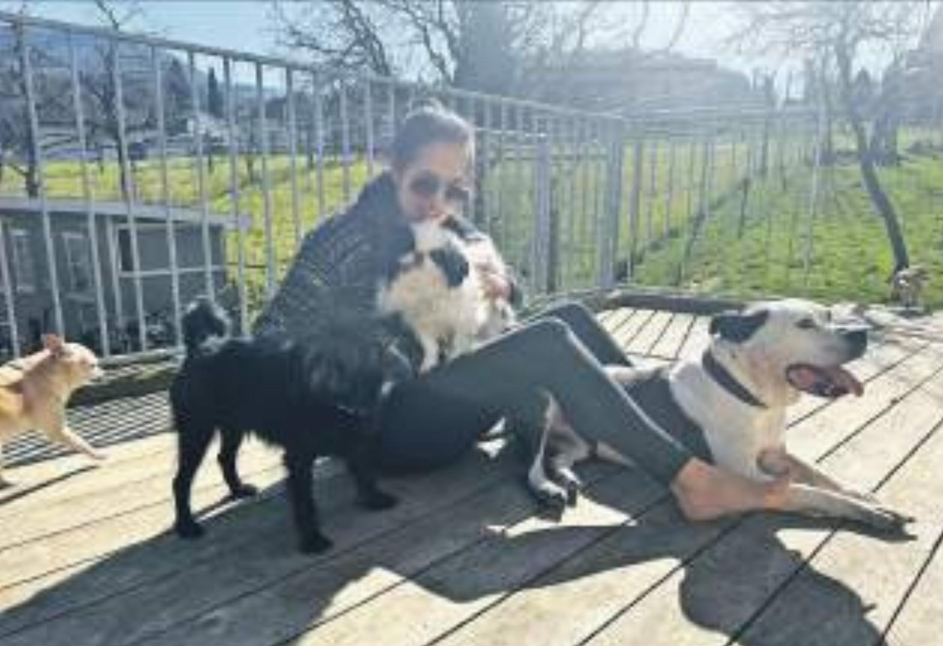 Geschichten vom Tierlignadenhof - Das Bild wird blockiert. – Möglicherweise durch einen aktiven Adblocker.