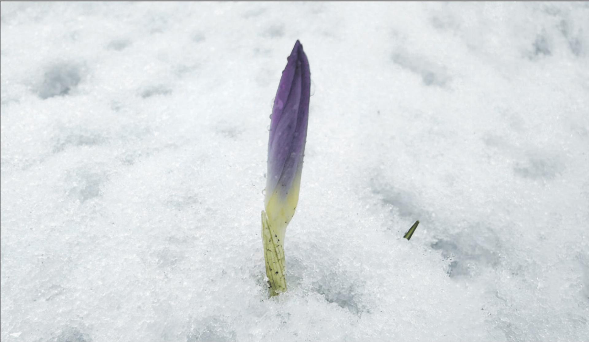 Ein Farbtupfer - Das Bild wird blockiert. – Möglicherweise durch einen aktiven Adblocker.