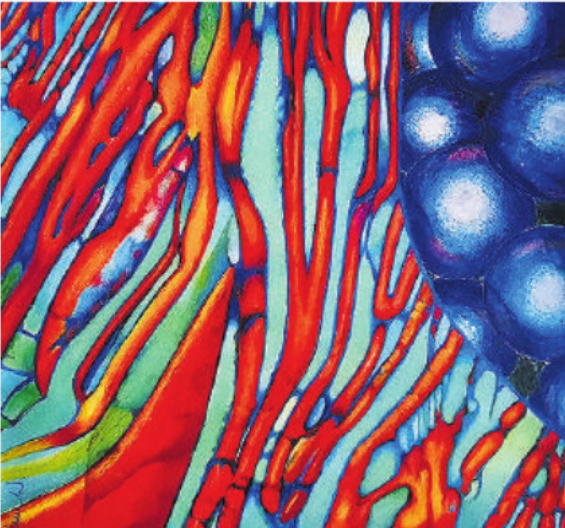 Das innere Gefüge der Erscheinung - Das Bild wird blockiert. – Möglicherweise durch einen aktiven Adblocker.