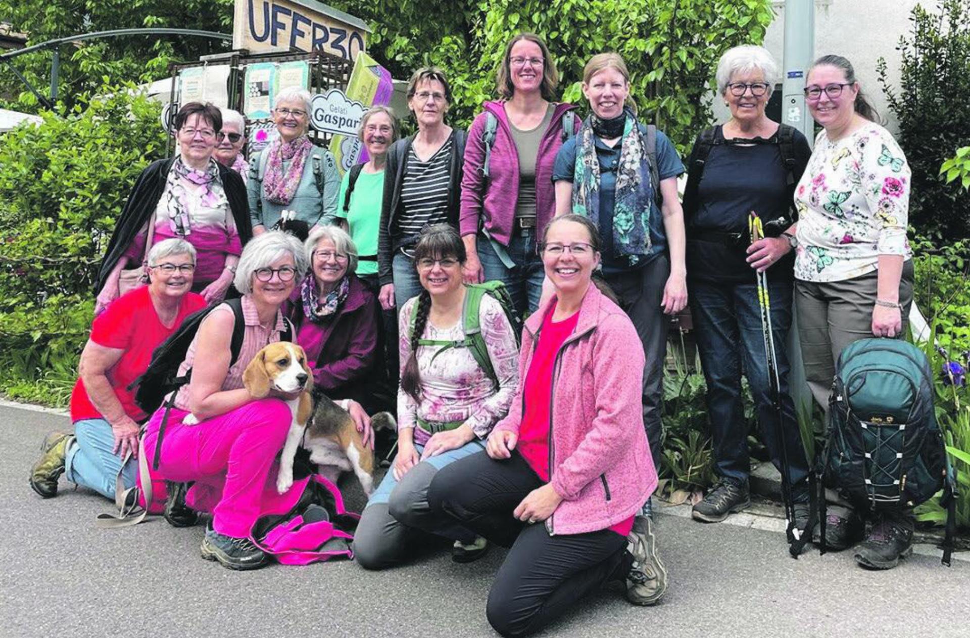 ZWÖLF FRAUEN UND EDDY, DER BEAGLE