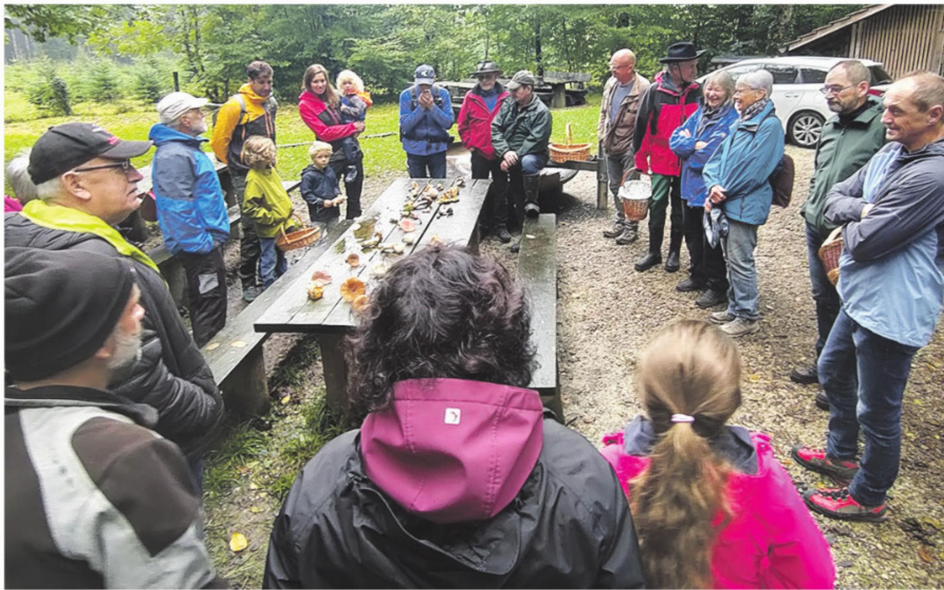 Was ist das für ein Pilz? - Das Bild wird blockiert. – Möglicherweise durch einen aktiven Adblocker.
