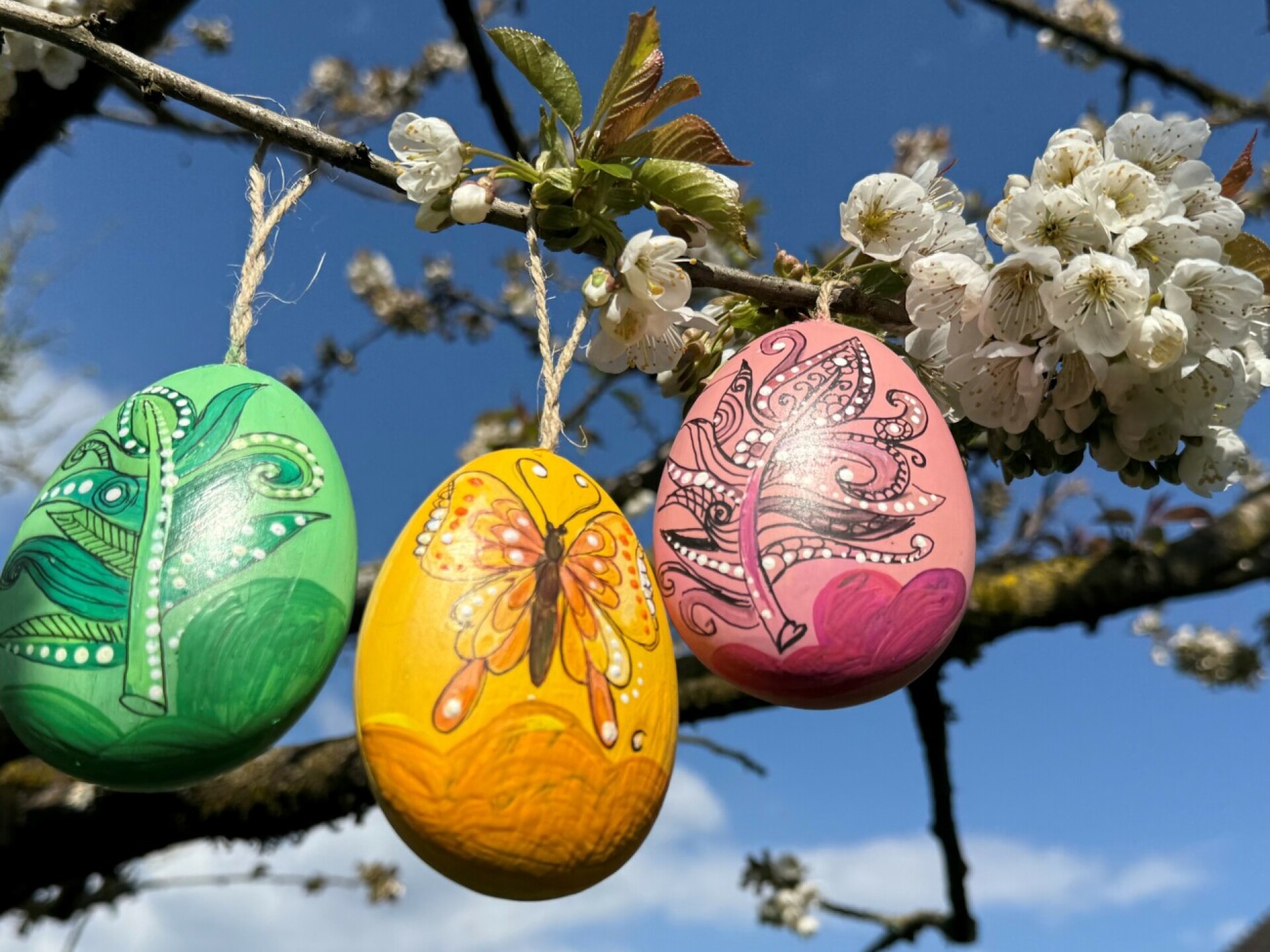 Die NFZ wünscht allen frohe und fröhliche Ostern - Das Bild wird blockiert. – Möglicherweise durch einen aktiven Adblocker.