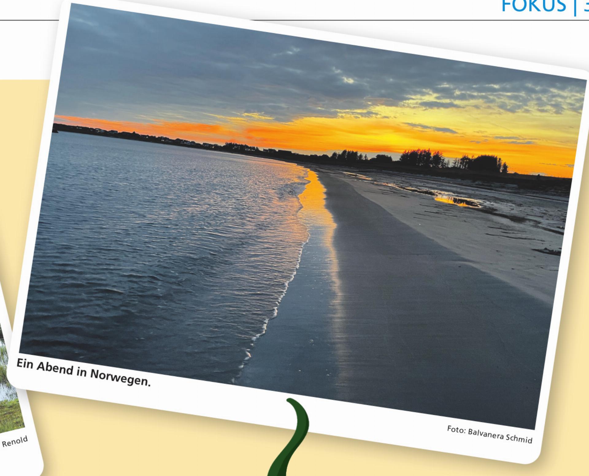 SOMMERFOTOS - Das Bild wird blockiert. – Möglicherweise durch einen aktiven Adblocker.