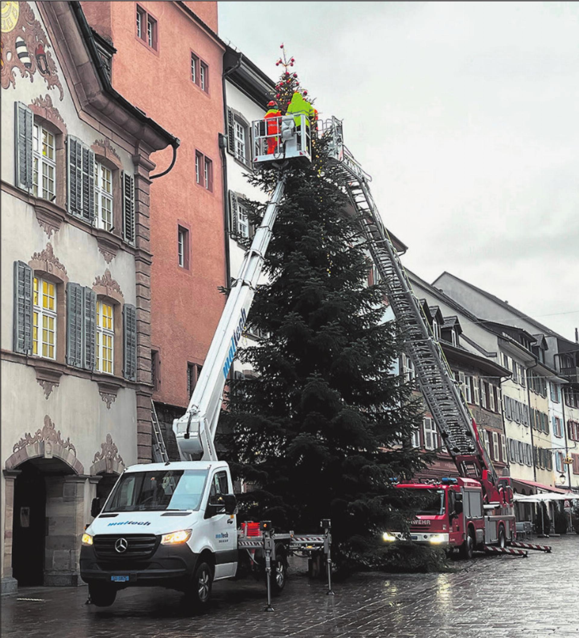 Für diesen Baum braucht es ein Feuerwehrauto - Das Bild wird blockiert. – Möglicherweise durch einen aktiven Adblocker.