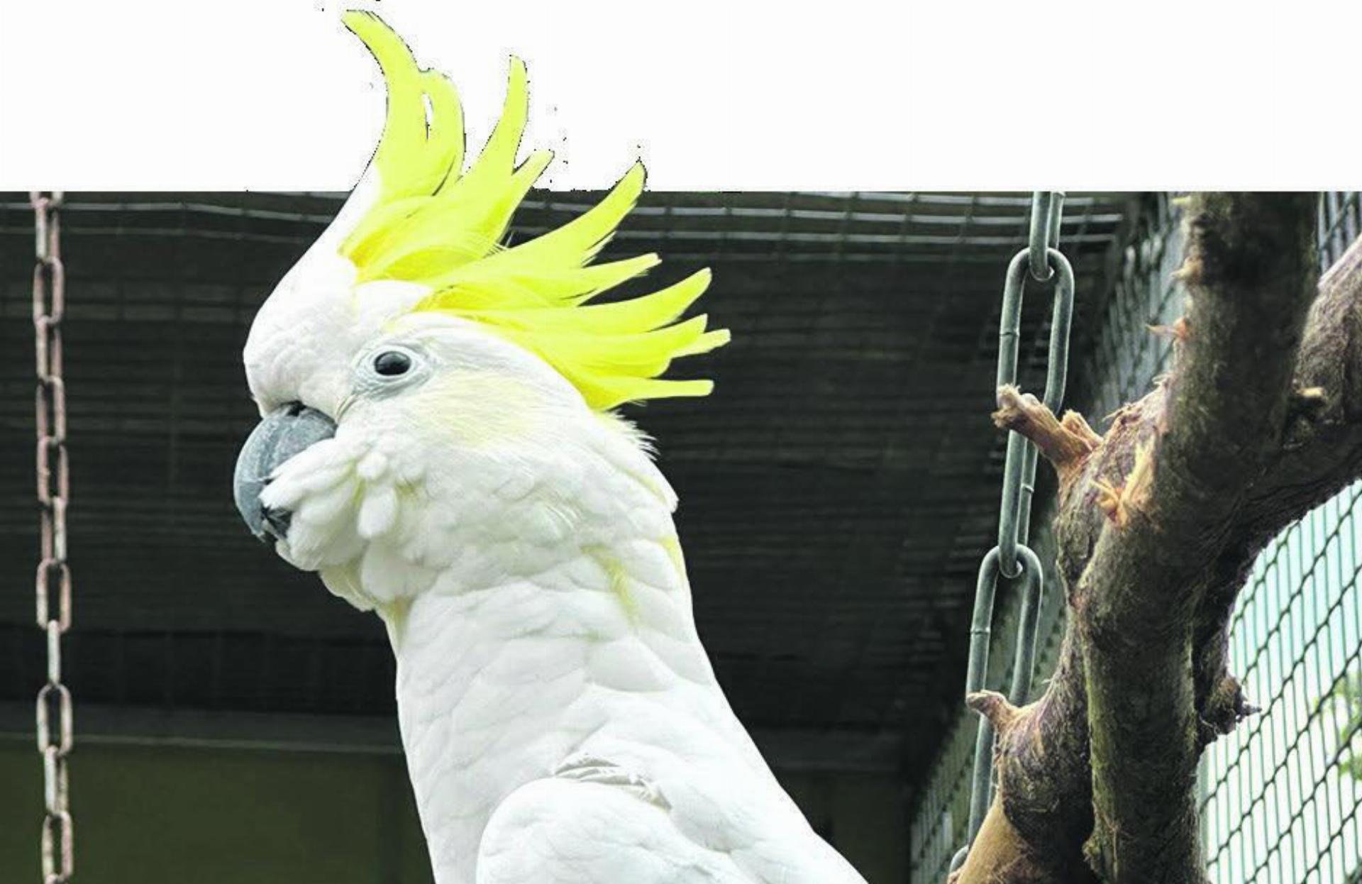 AUSFLUG IN DEN VOGELPARK AMBIGUA