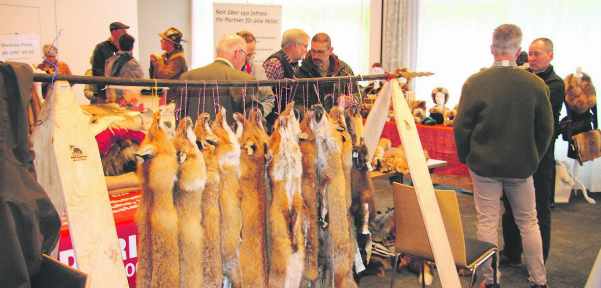 Fuchsfelle aus dem Kanton Aargau. Foto: zVg