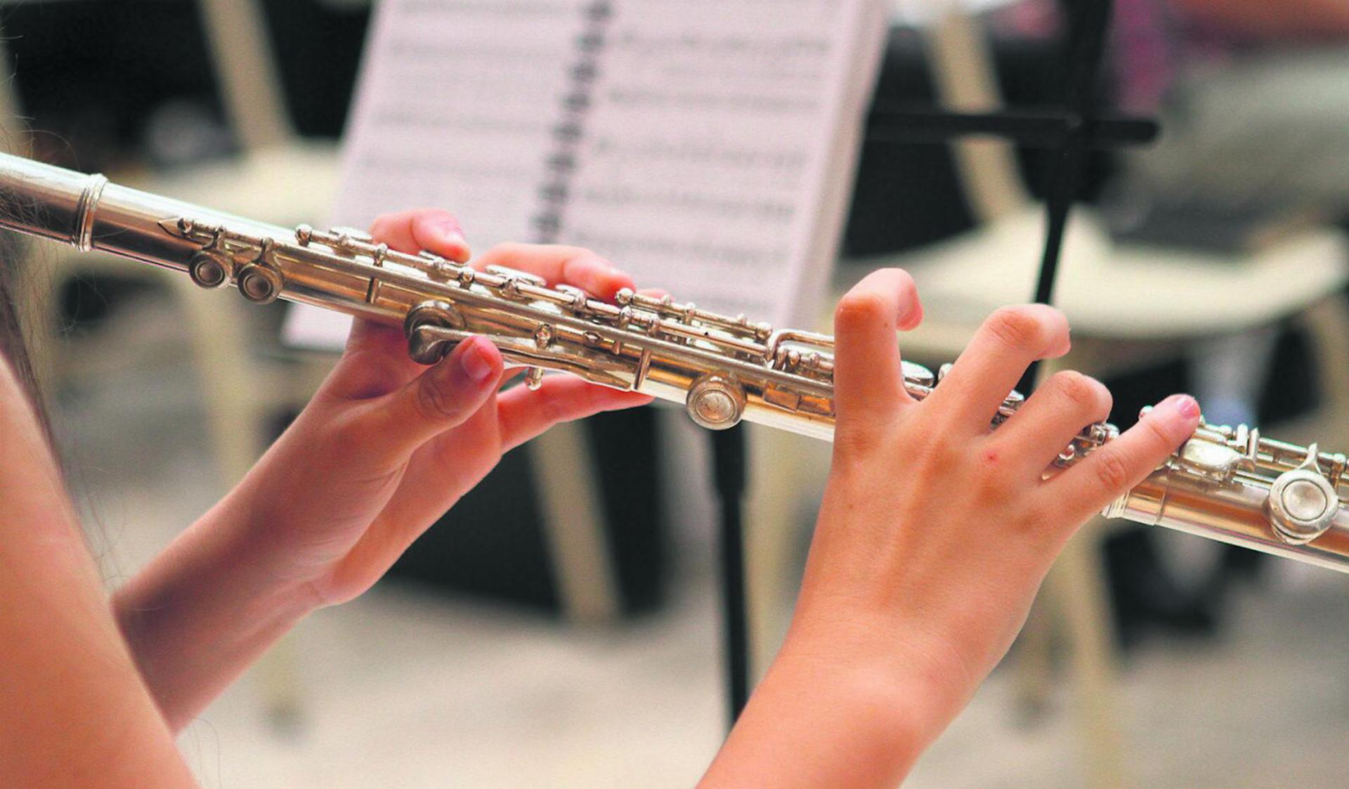 Musikschule Möhlin: Tariferhöhung sorgt für Misstöne