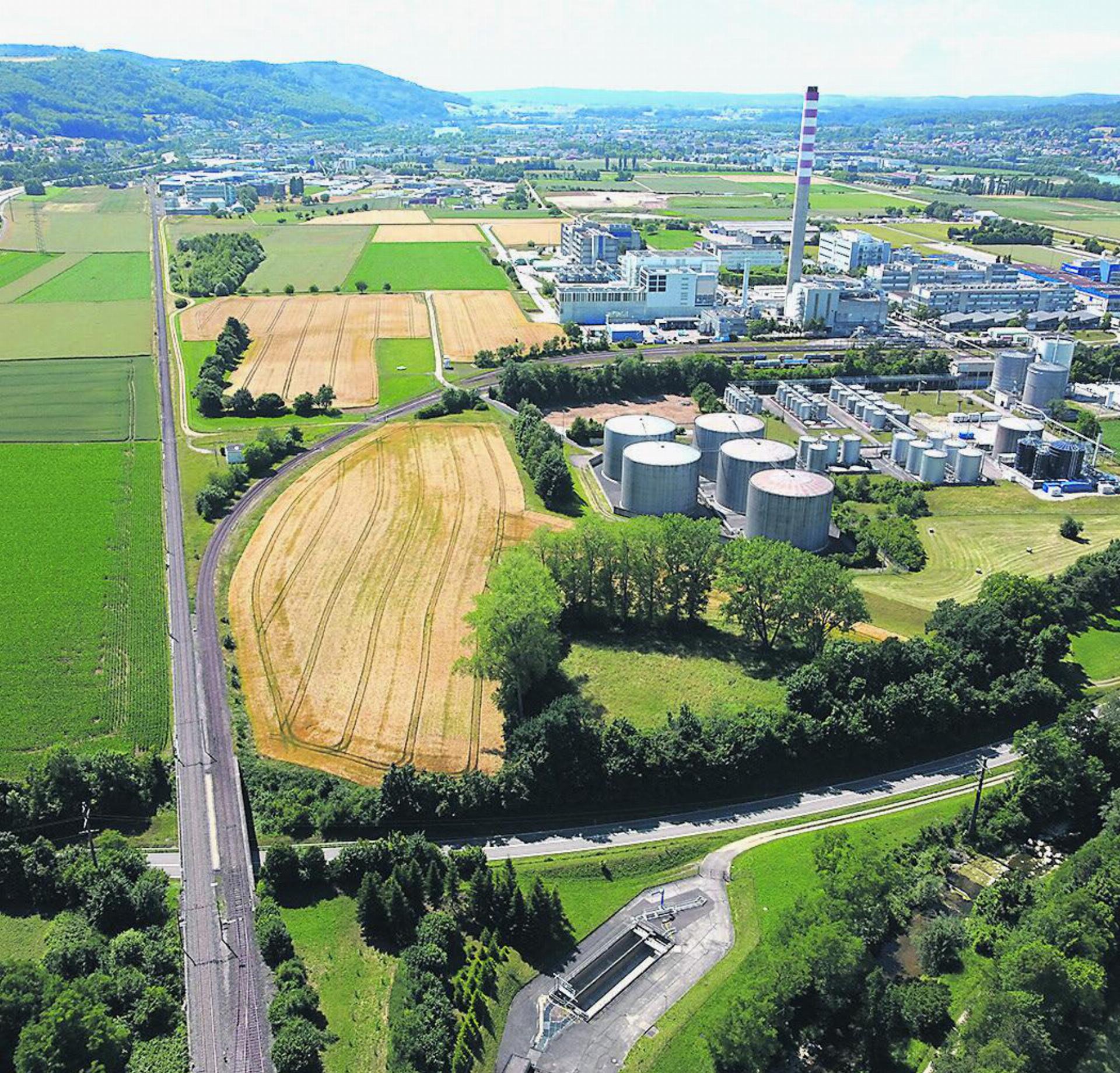 Das Potenzial nutzen: Dreissig Prozent der nicht bebauten Aargauer Arbeitszonenreserven befinden sich im Fricktal – wie etwa hier im Sisslerfeld. Foto: Sascha Roth