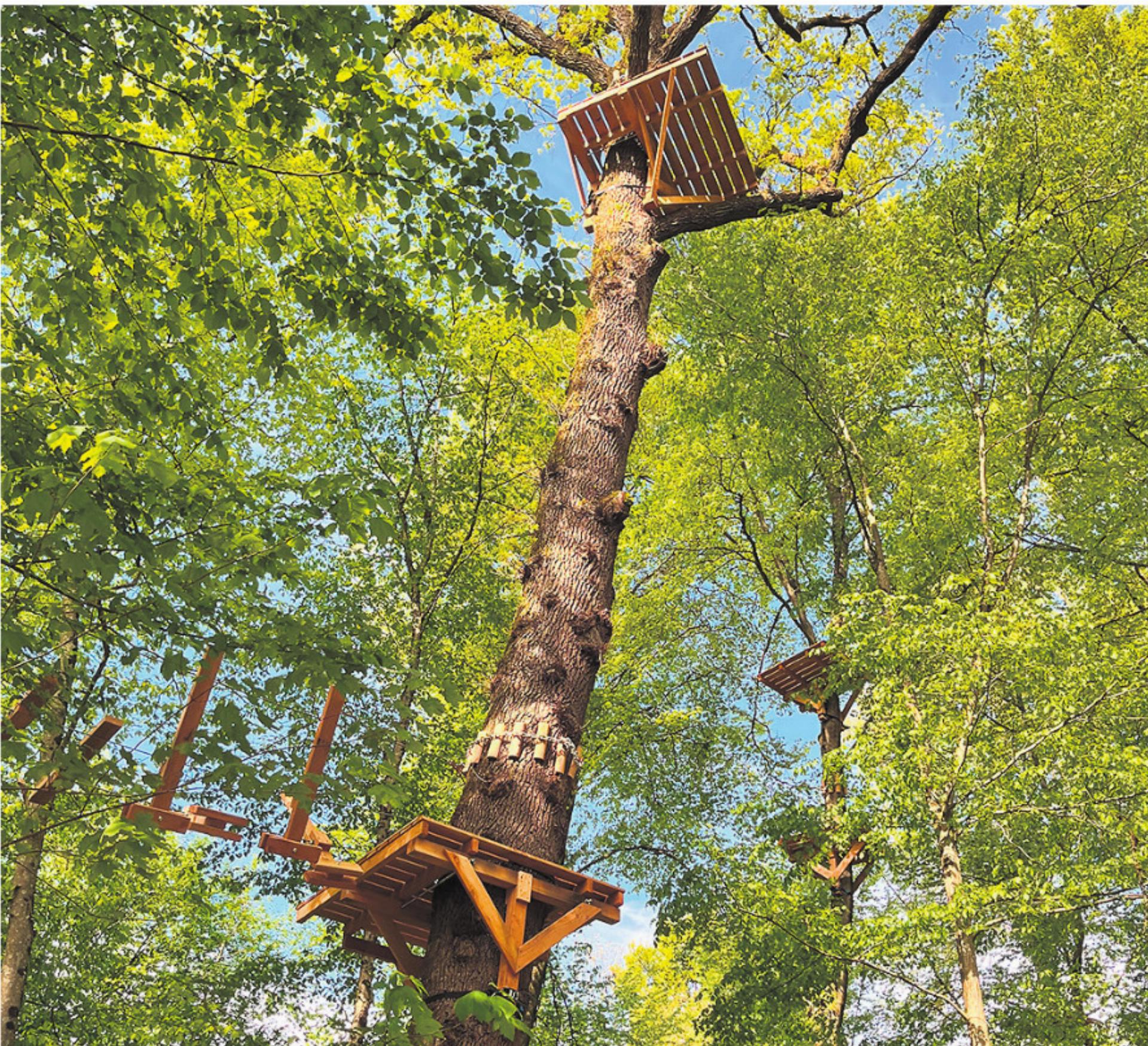 Für Mutproben zwischen den Baumwipfeln - Das Bild wird blockiert. – Möglicherweise durch einen aktiven Adblocker.