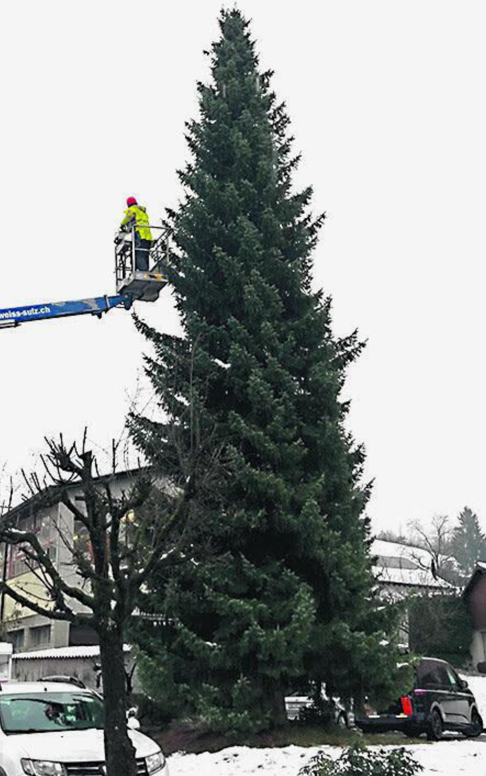In Fronarbeit wird der Baum vom Gewerbe Regio Laufenburg geschmückt. Foto: Ludwig Dünner