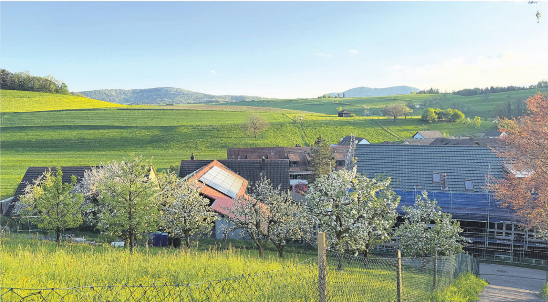 Gleich lange Spiesse für alle - Das Bild wird blockiert. – Möglicherweise durch einen aktiven Adblocker.