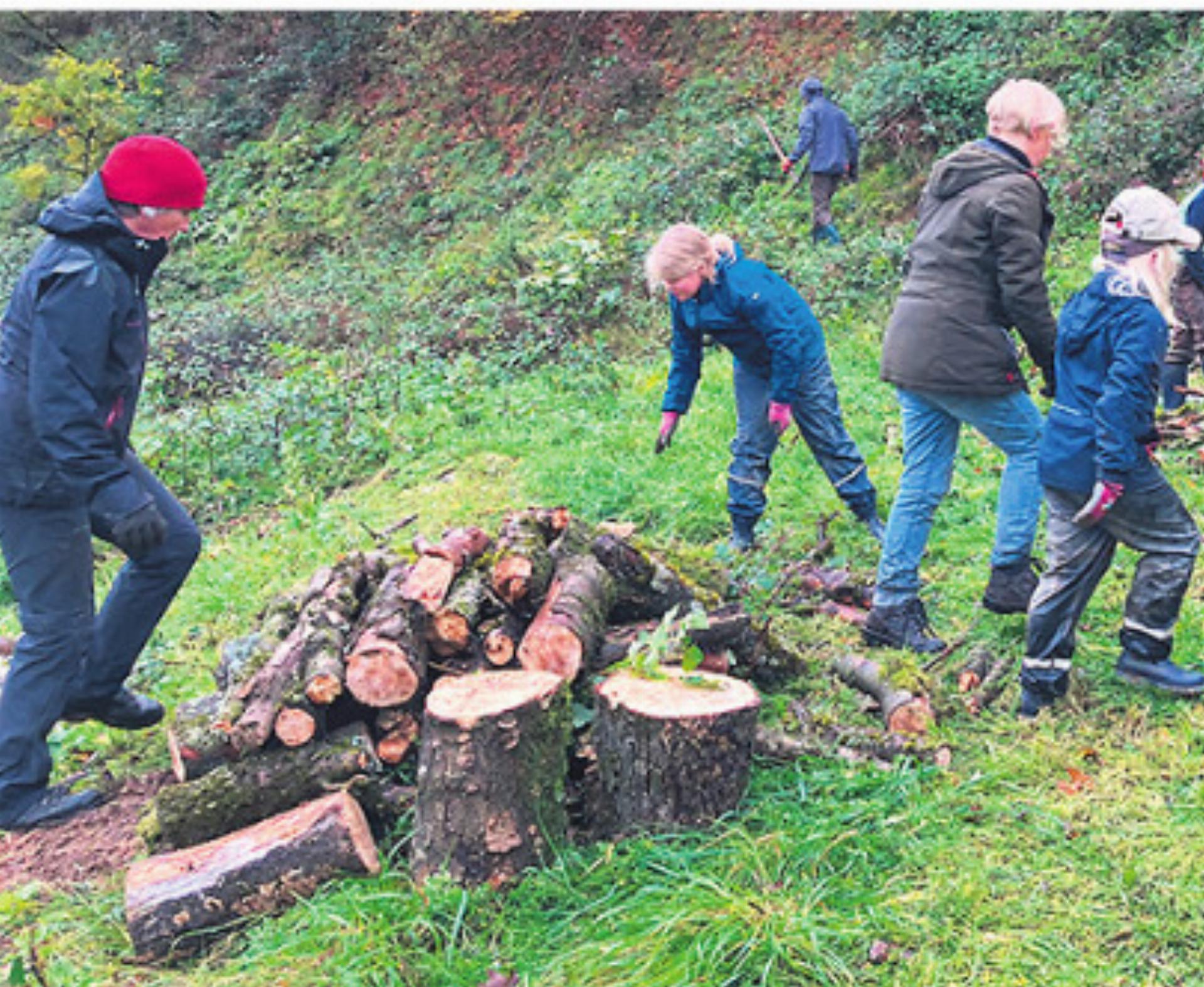 Einsatz für die Natur - Das Bild wird blockiert. – Möglicherweise durch einen aktiven Adblocker.