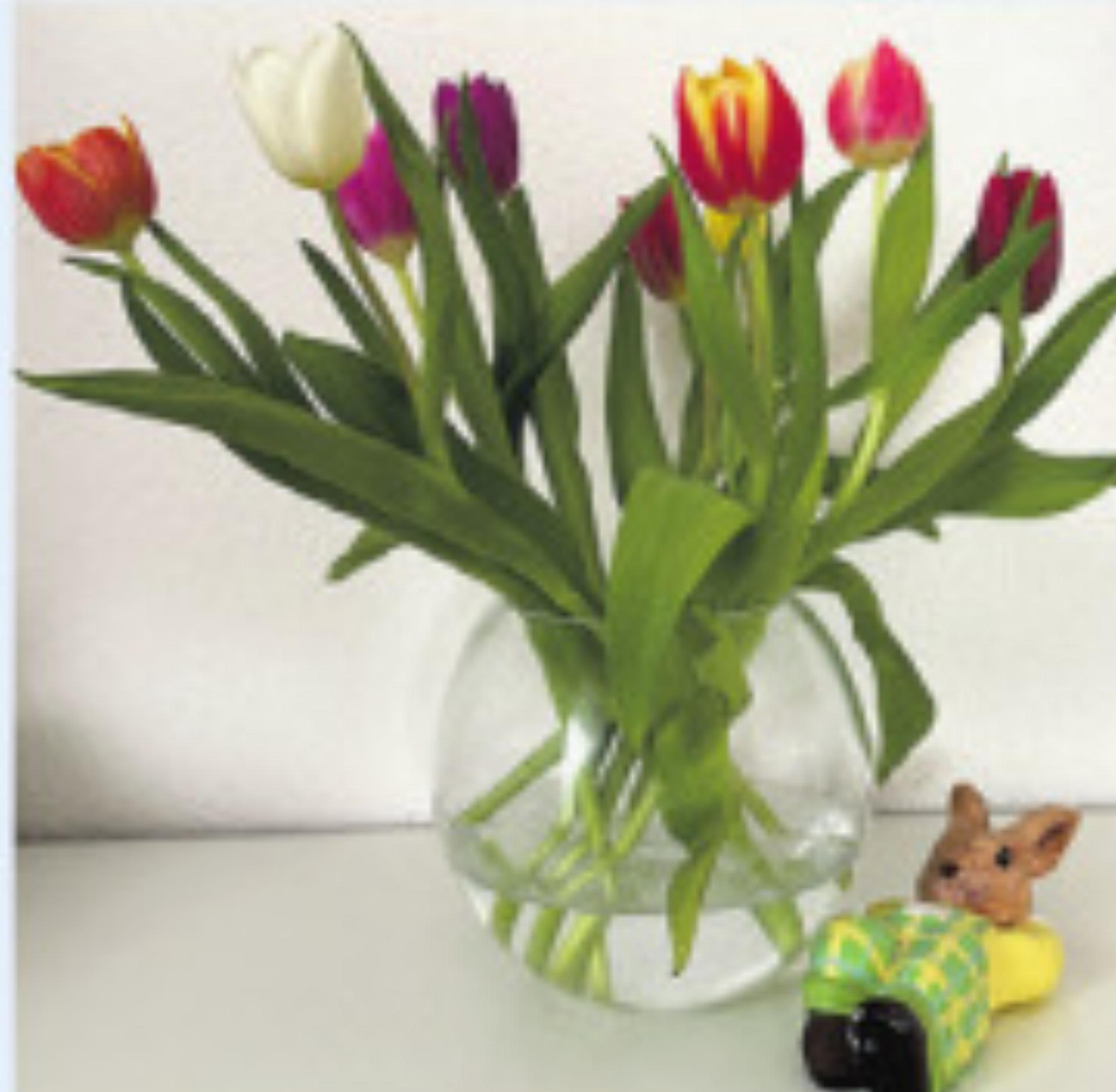 beRUFLIch: Wunderblume - Das Bild wird blockiert. – Möglicherweise durch einen aktiven Adblocker.