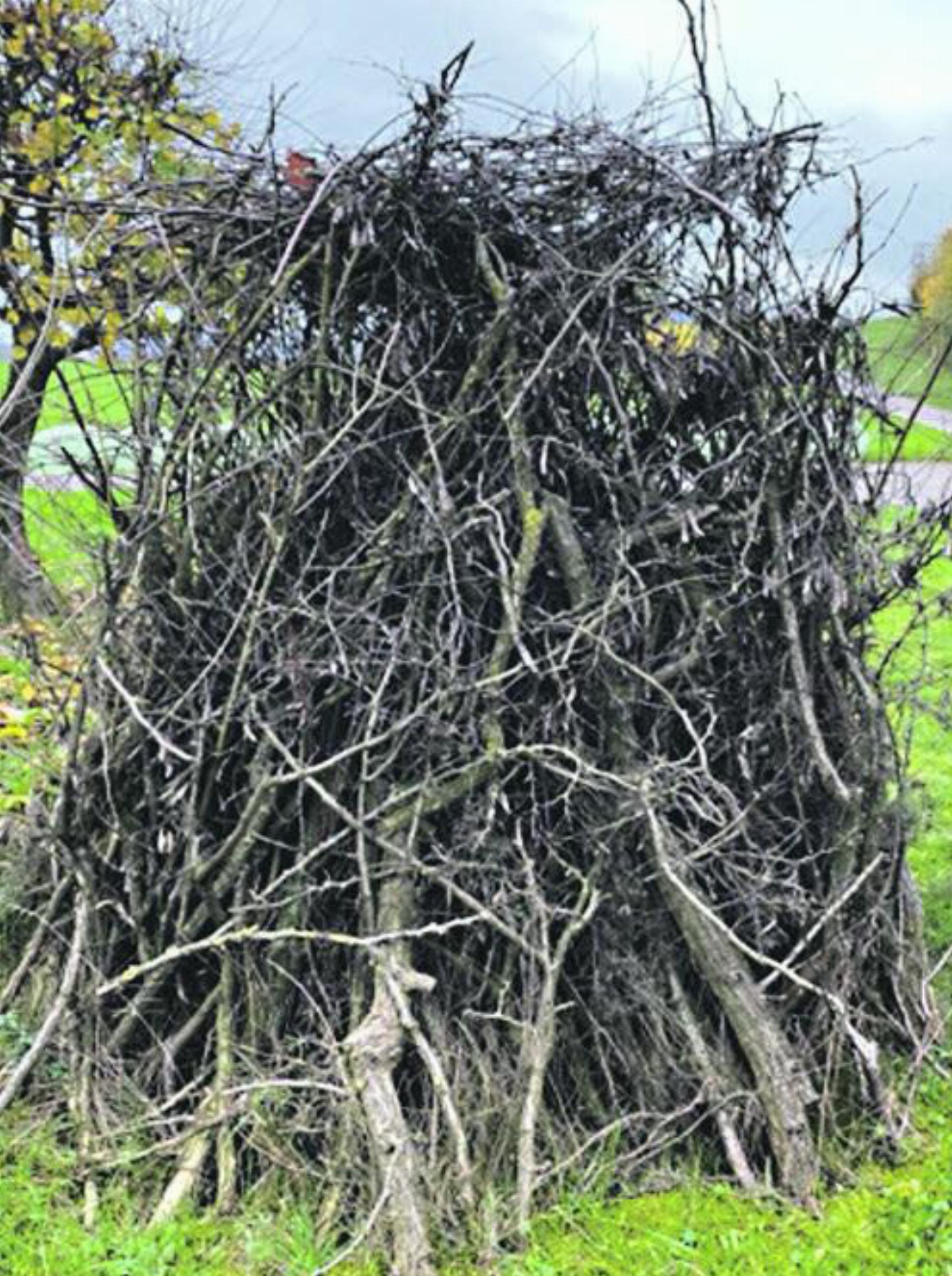 Naturpreis für SBB Unterwerk Stein