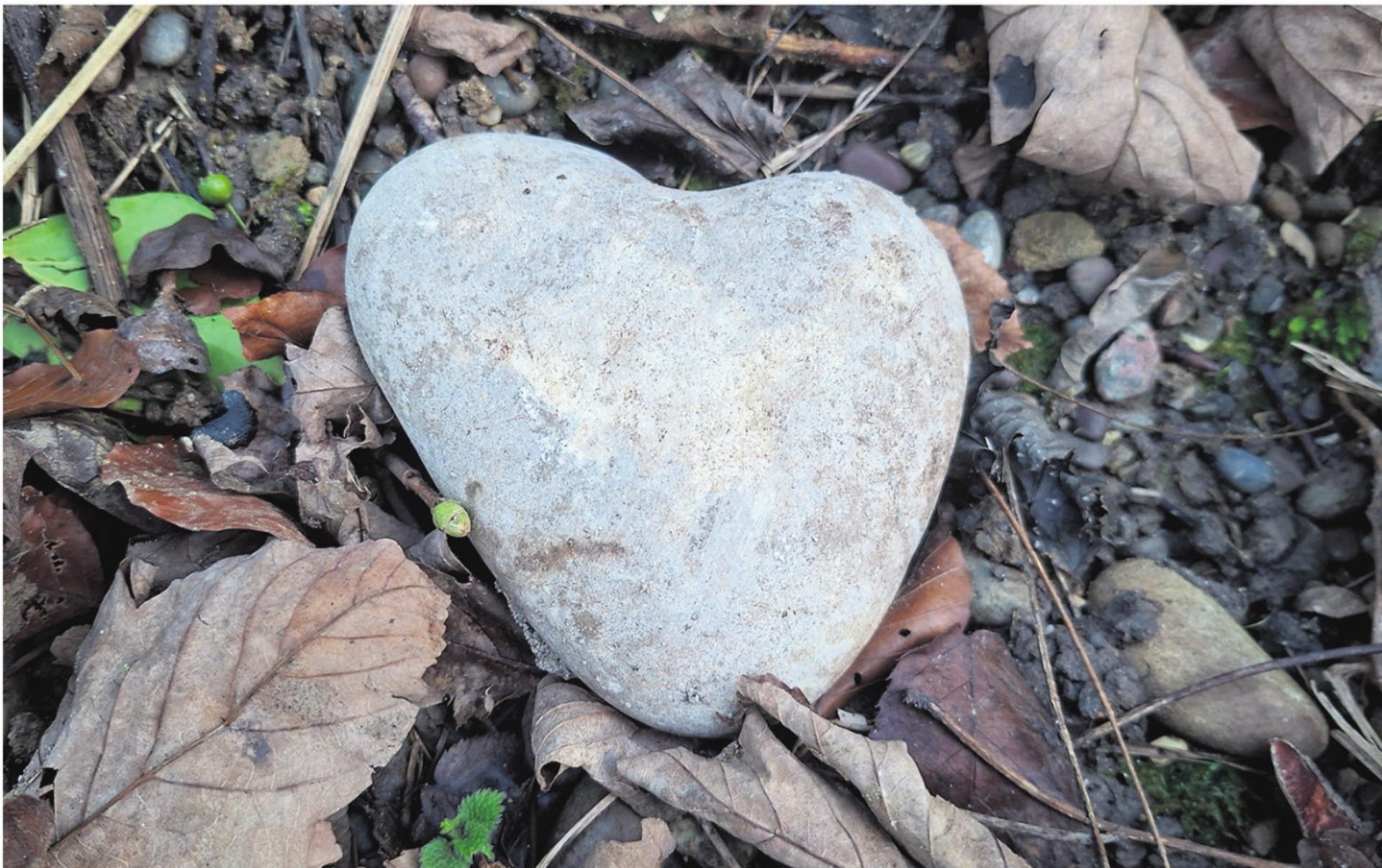 LESERFOTO - Das Bild wird blockiert. – Möglicherweise durch einen aktiven Adblocker.