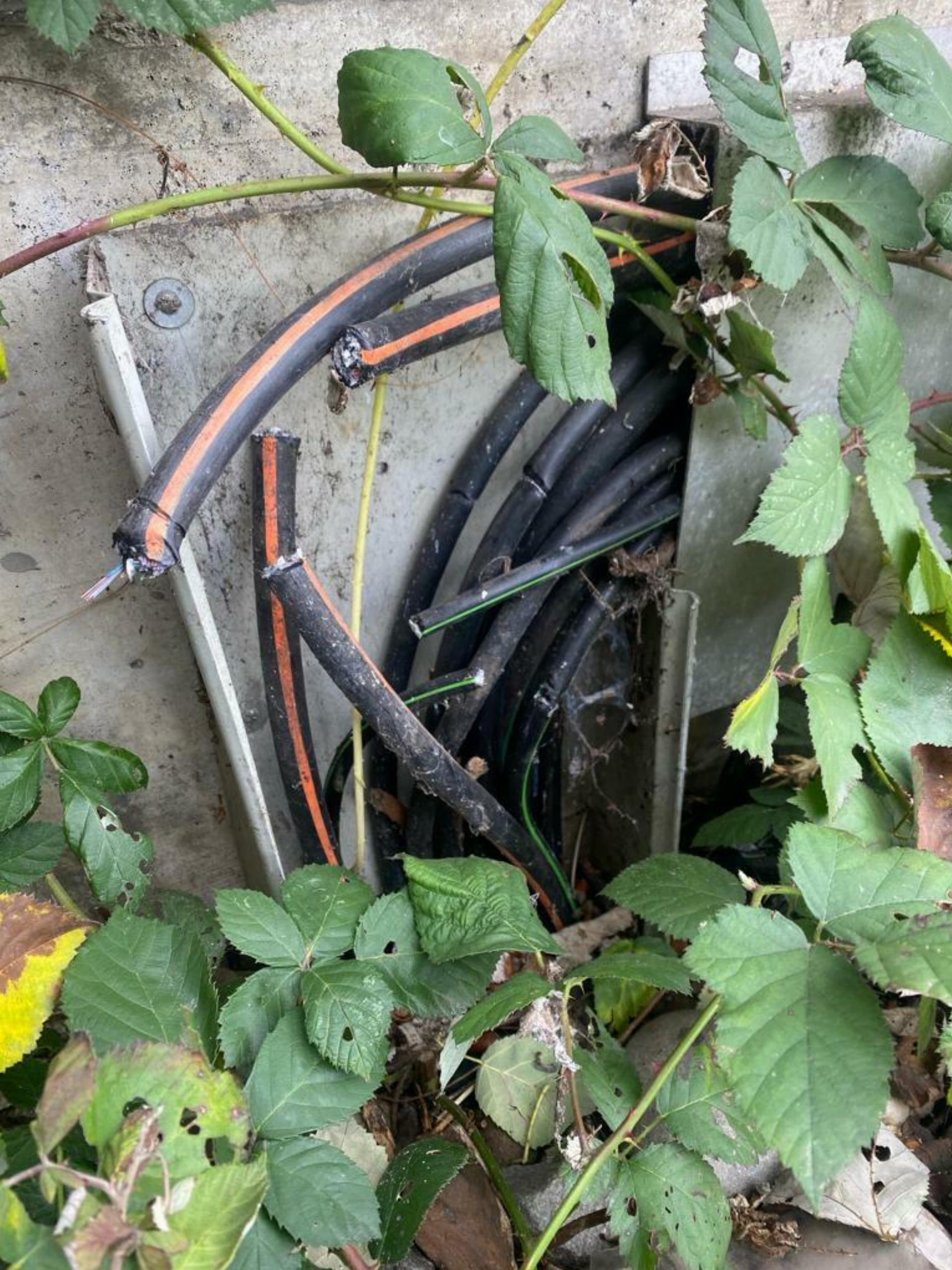 Glasfaser-Sabotage: Beschuldigte bald vor Gericht - Das Bild wird blockiert. – Möglicherweise durch einen aktiven Adblocker.