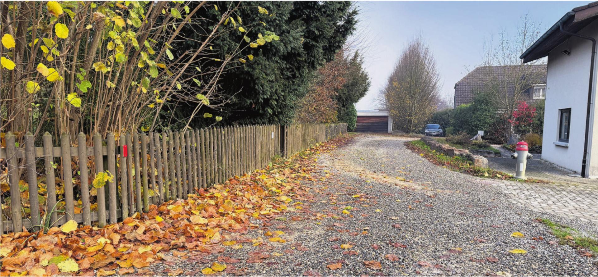 Mehr Tragkraft für eine Naturstrasse - Das Bild wird blockiert. – Möglicherweise durch einen aktiven Adblocker.