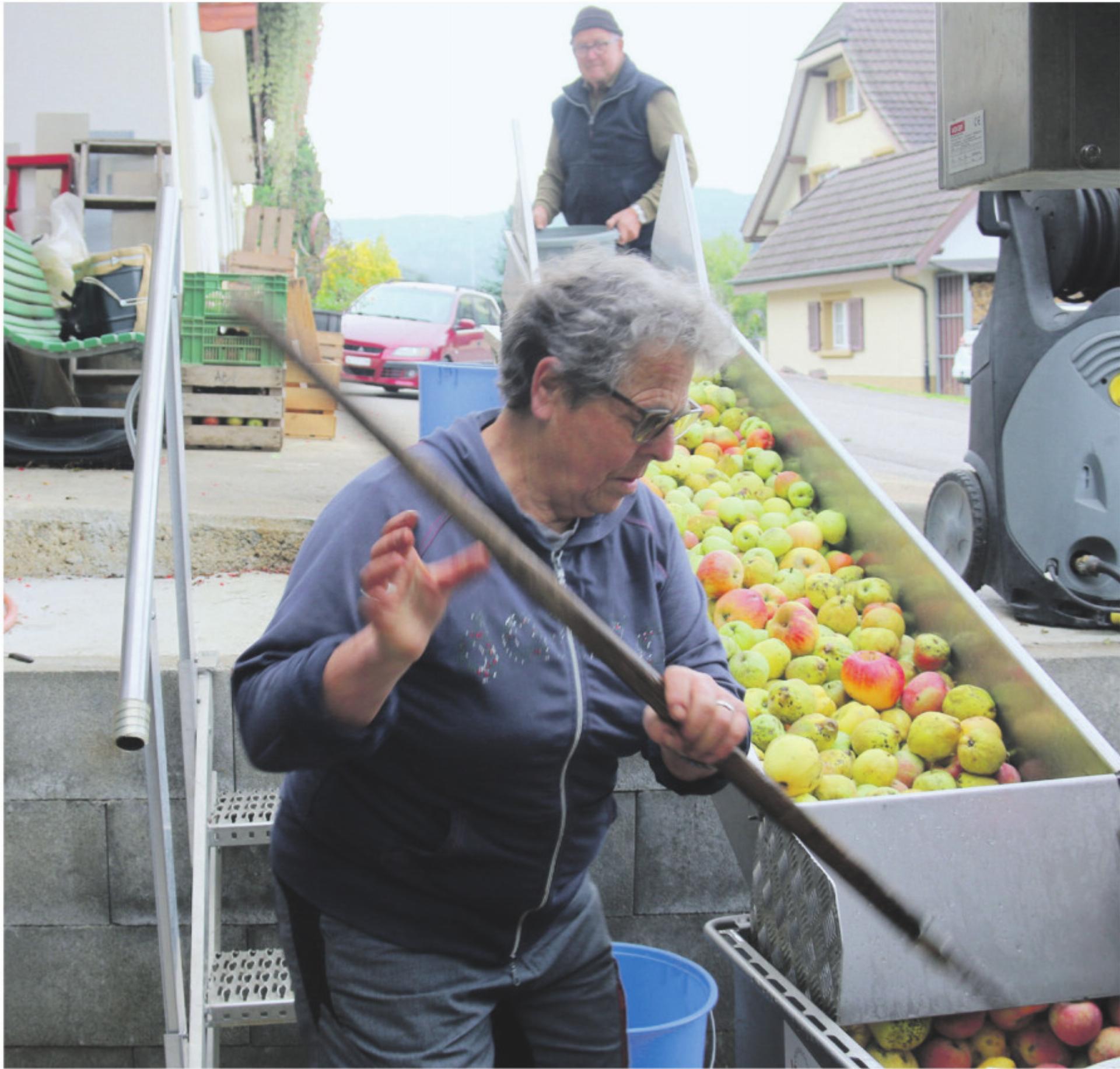 Aus Äpfeln wird feiner Süssmost - Das Bild wird blockiert. – Möglicherweise durch einen aktiven Adblocker.