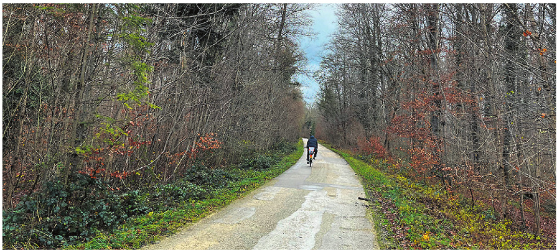 Stadt sistiert Sanierung der Waldstrasse - Das Bild wird blockiert. – Möglicherweise durch einen aktiven Adblocker.