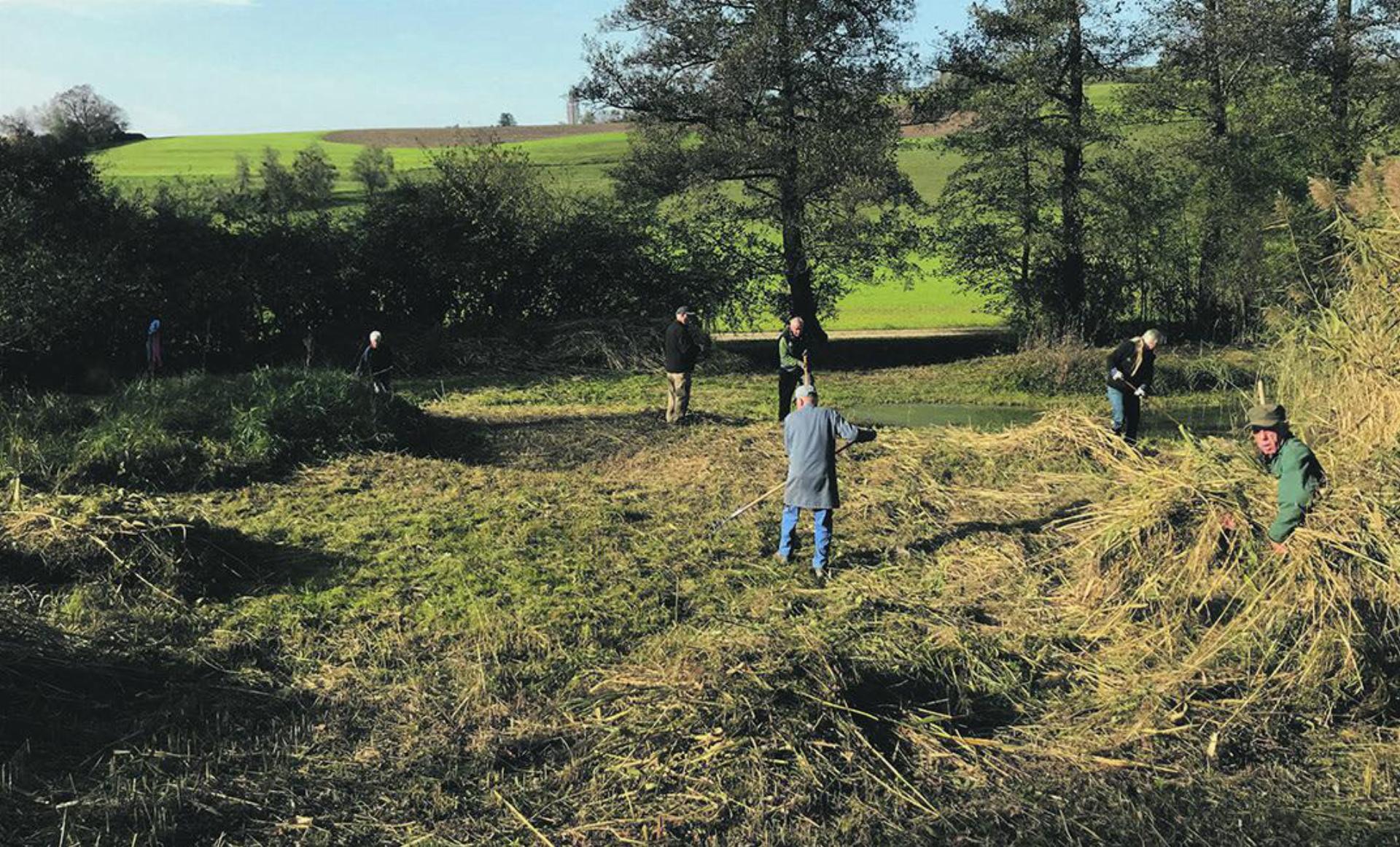 Pflegearbeiten im Naturreservat