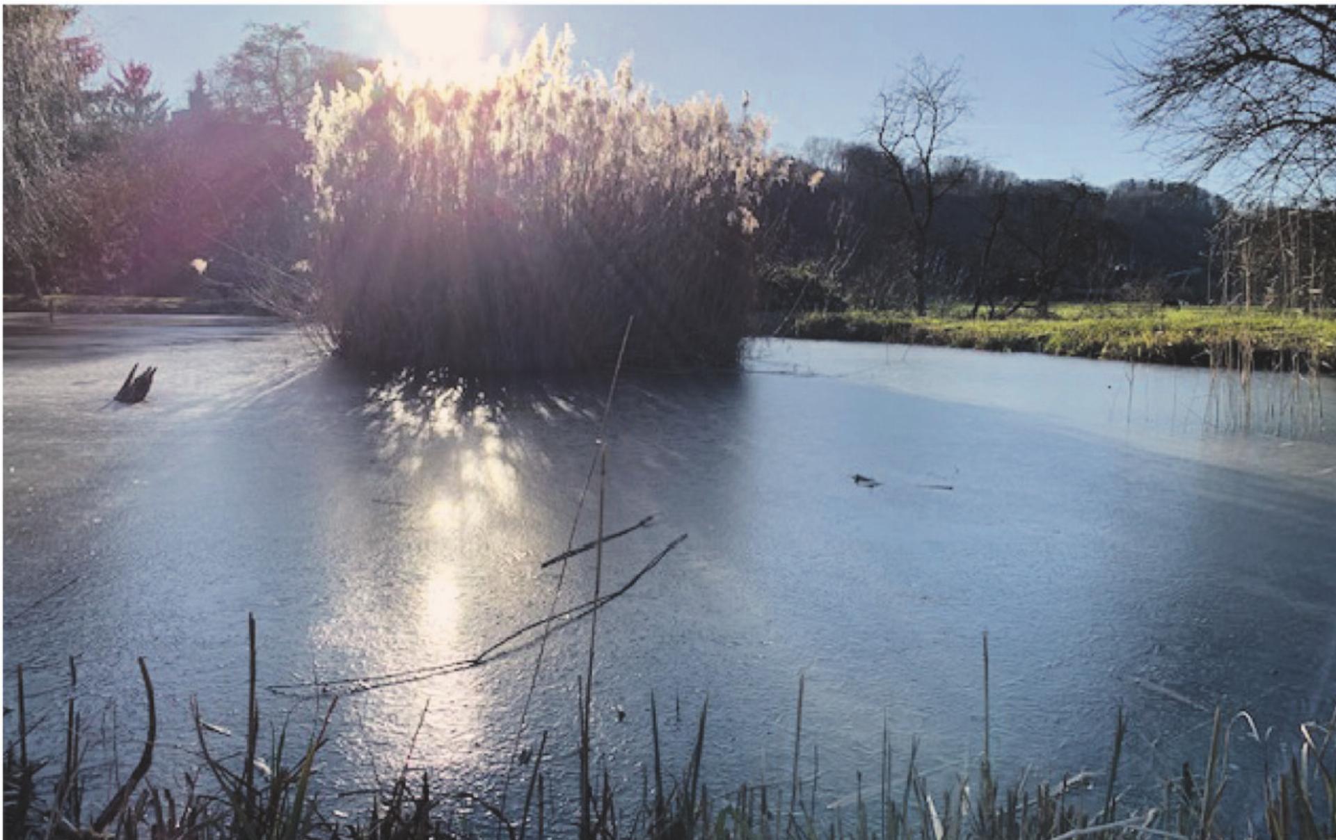 LESERFOTO - Das Bild wird blockiert. – Möglicherweise durch einen aktiven Adblocker.