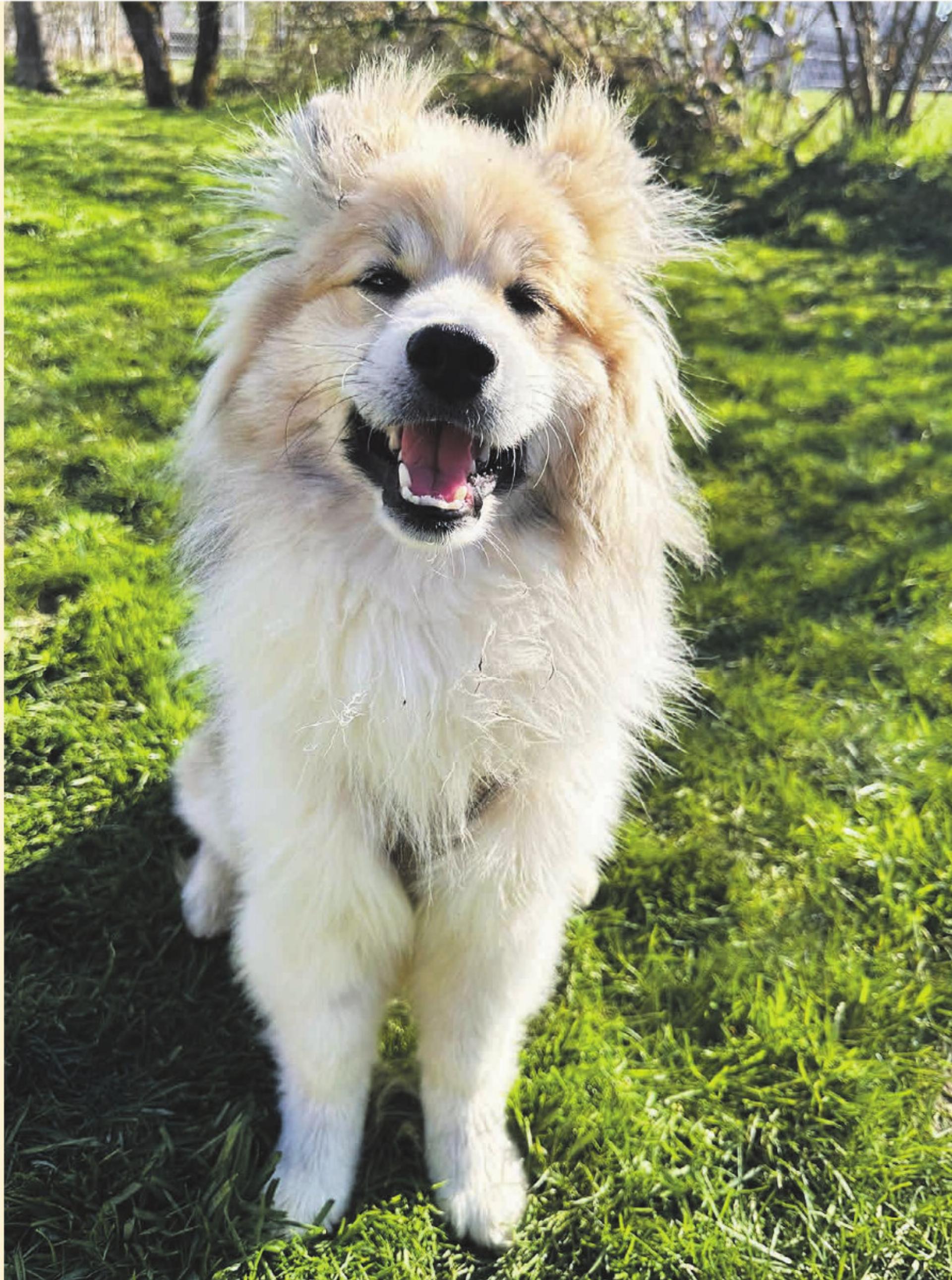 Geschichten vom Tierlignadenhof Kaisten - Das Bild wird blockiert. – Möglicherweise durch einen aktiven Adblocker.