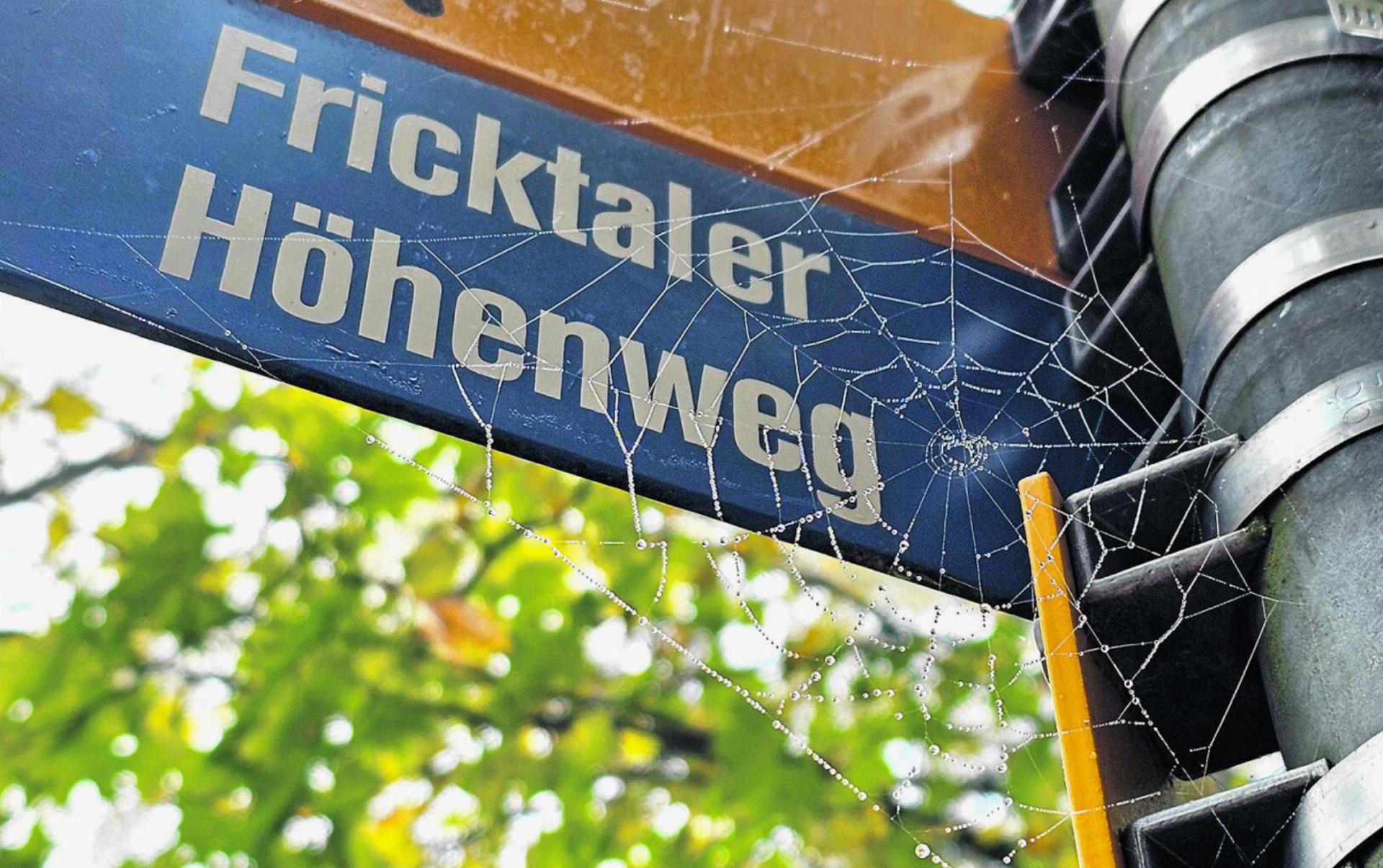 Herbstlich von der Natur dekorierter Wegweiser.