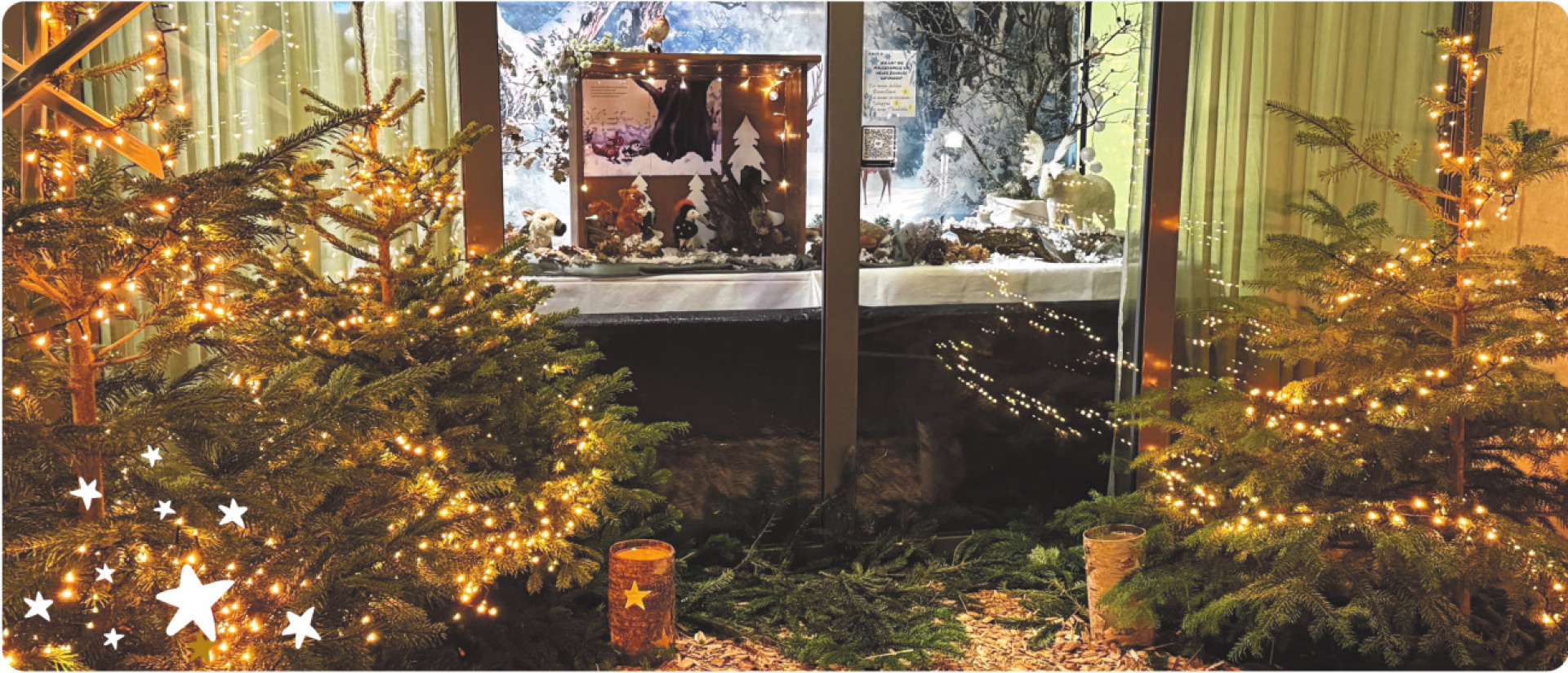 Weihnachtliche Märchenwelt - Das Bild wird blockiert. – Möglicherweise durch einen aktiven Adblocker.