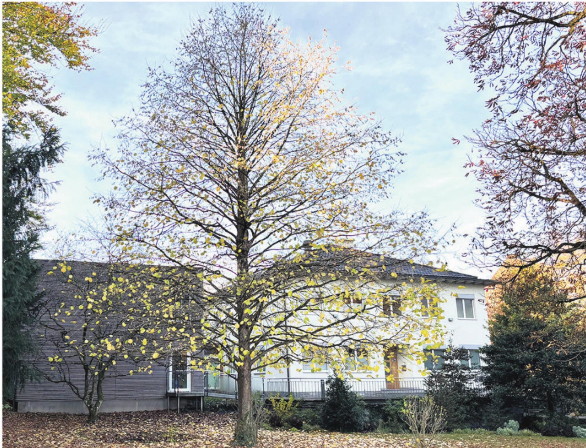 Vorgeworfene Entführung eines Urteilsunfähigen - Das Bild wird blockiert. – Möglicherweise durch einen aktiven Adblocker.