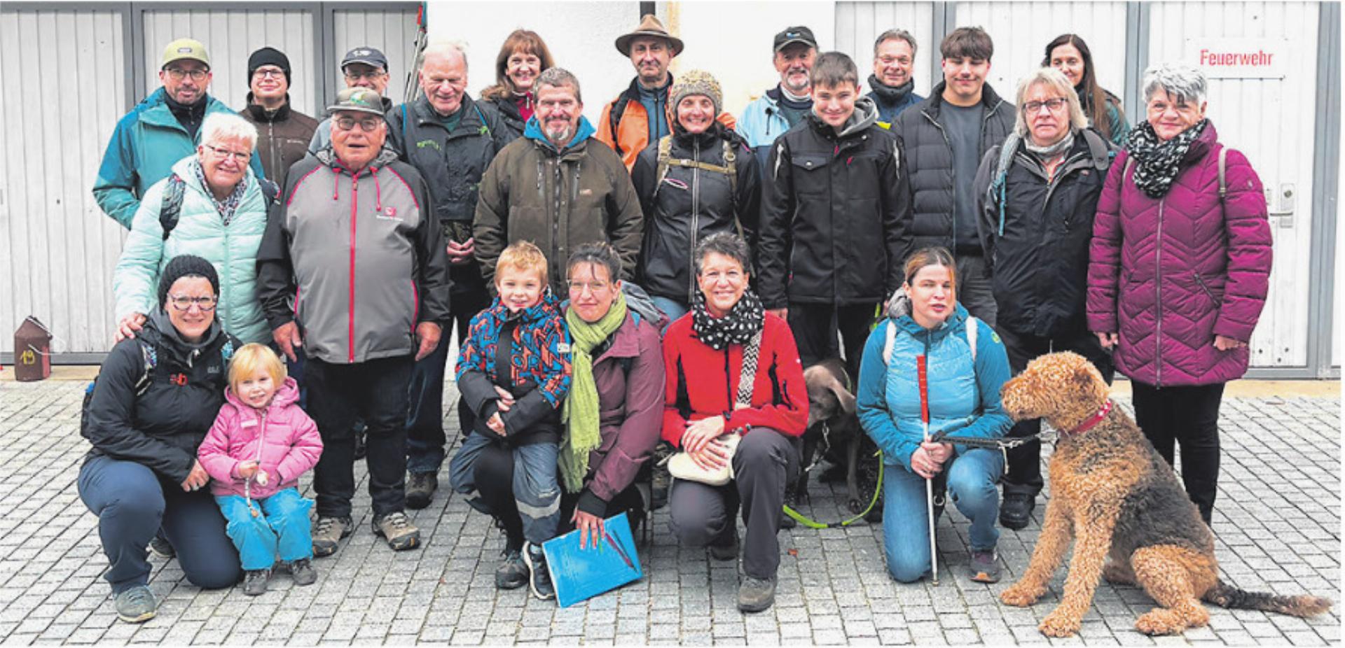 Sauberes Haus für Meisen und Co.