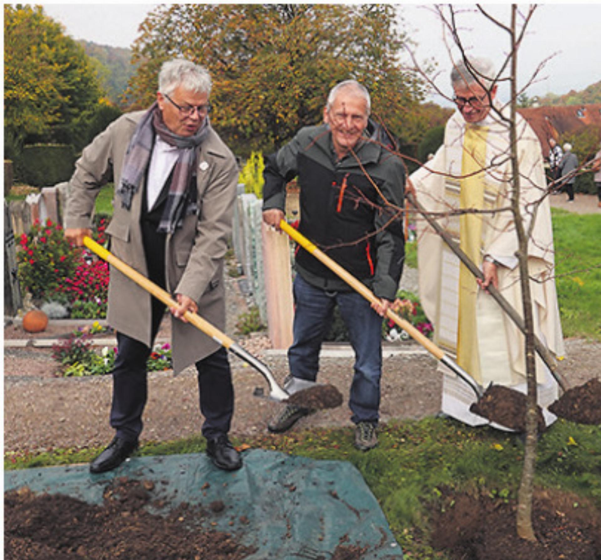 Eine Linde für die Zukunft - Das Bild wird blockiert. – Möglicherweise durch einen aktiven Adblocker.