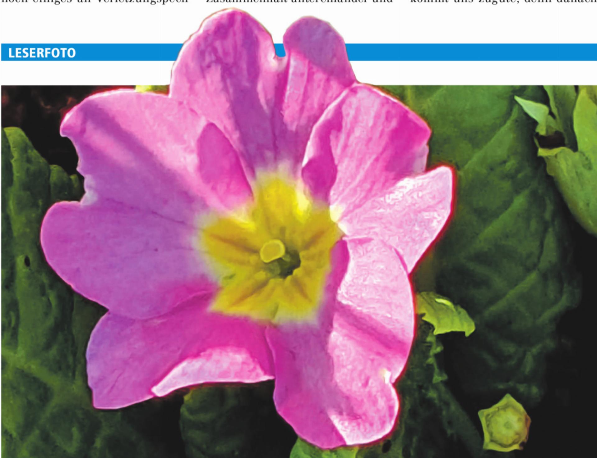 LESERFOTO - Das Bild wird blockiert. – Möglicherweise durch einen aktiven Adblocker.