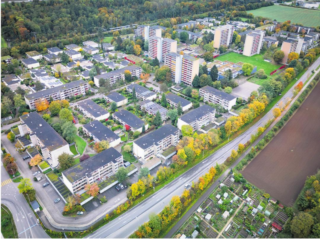 Heute präsentiert sich die Siedlung Augarten sehr grün. Chris Leemann hat in den 1970er-Jahren bei der Namensfindung mitgeholfen. Heute präsentiert sich die Siedlung Augarten sehr grün. Chris Leemann hat in den 1970er-Jahren bei der Namensfindung mitgeholfen.